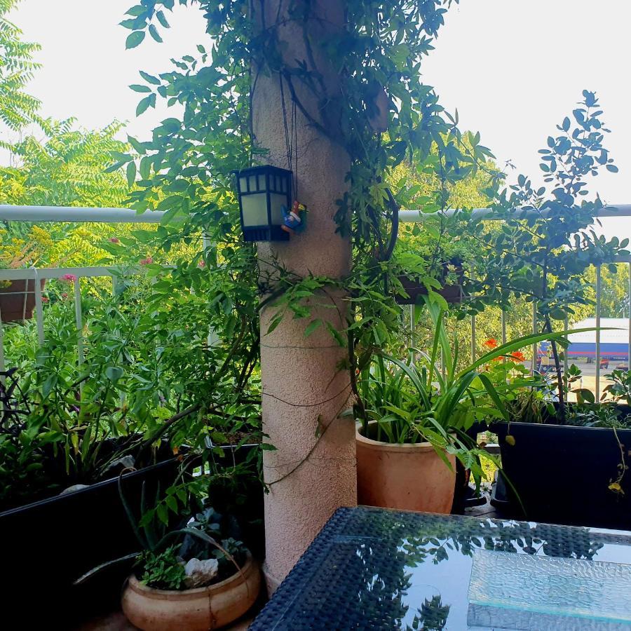 By The Sea Martina Apartment ริเยกา ภายนอก รูปภาพ